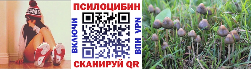 Галлюциногенные грибы GOLDEN TEACHER Цивильск